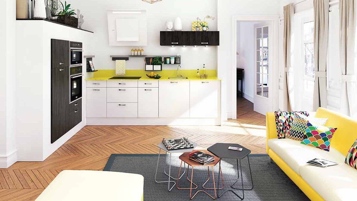 d&eacute;couvrez les avantages et inconv&eacute;nients d