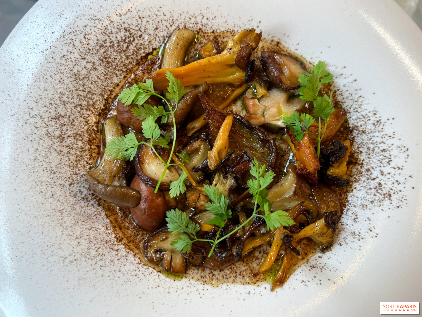Cuisine écologique à paris 75007 : matériaux durables et peintures saines découvrez les meilleures adresses de cuisine écolo à paris 75007 : restaurants engagés, menus bio, produits locaux et initiatives durables au cœur du 7e arrondissement !