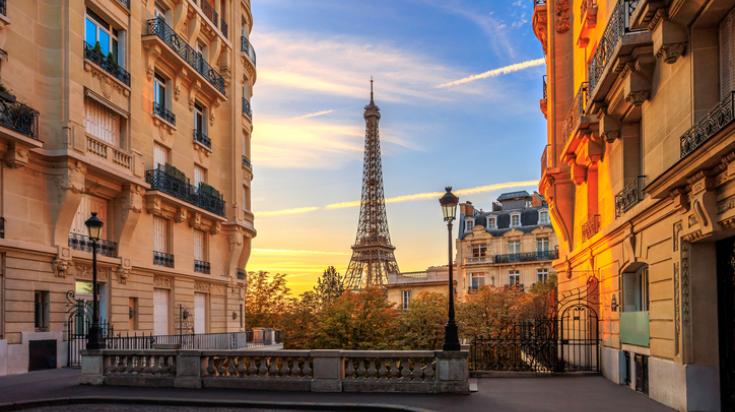 sp&eacute;cialistes de la r&eacute;novation d