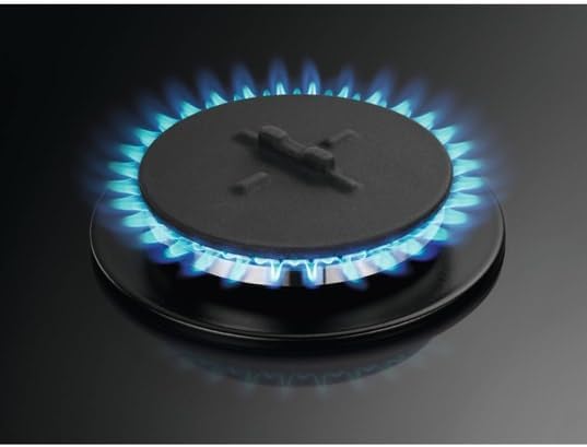 d&eacute;couvrez notre comparatif des plaques gaz et induction &agrave; paris 75007 : avantages, inconv&eacute;nients et conseils pour bien choisir l