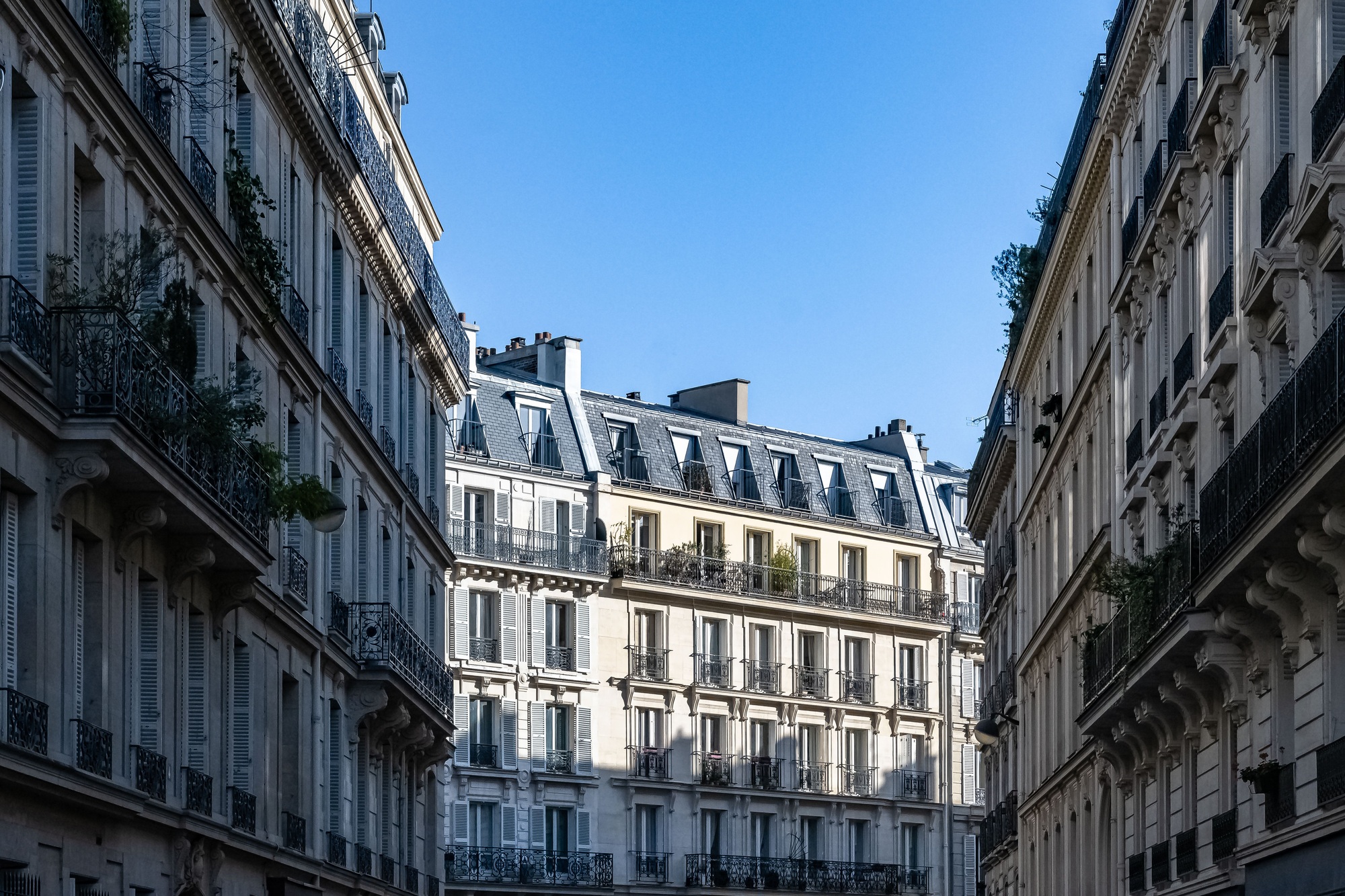 Rénovation d’appartement à paris en 2025 : prix au m², autorisations, aides et erreurs à éviter confiez la rénovation de votre appartement à paris en 2025 à des experts. profitez de conseils personnalisés, d’un suivi de chantier professionnel et d’un résultat moderne, adapté à vos envies et à votre budget.